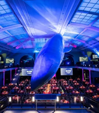 Ocean Hall at the Natural History in New York for the Annual Hispanic Federation Gala. Big blue whale and dinner tables.